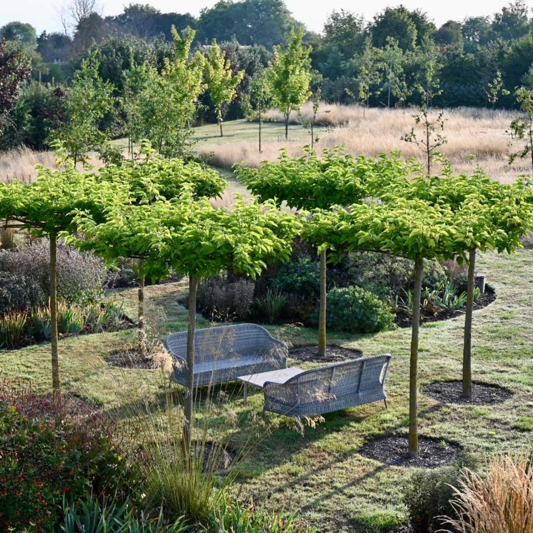 Orchard Dene Bed & Breakfast Chidham Bagian luar foto